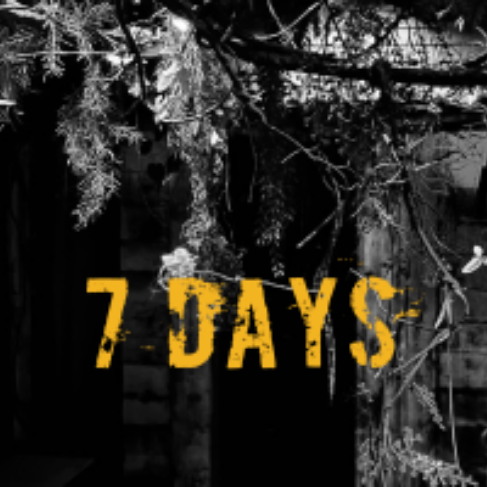 7 Days